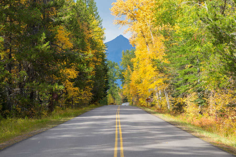 A stunning fall roadway near Glacier National Park in Whitefish, MT