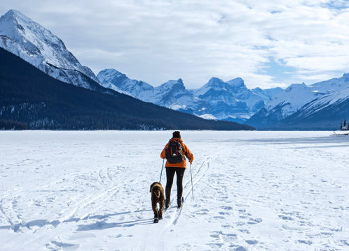 A cross country skier and dog explore Glacier National Park in winter