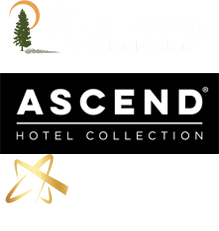 The Pine Lodge