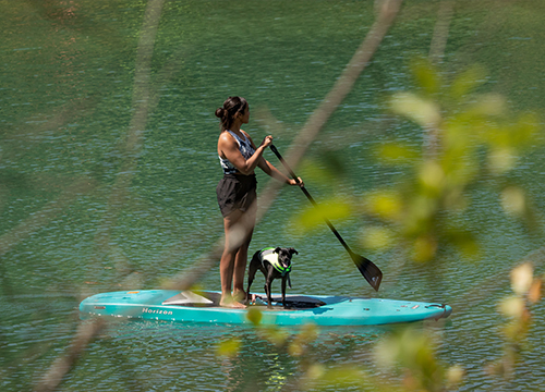 A paddleboarder on Whitefish River